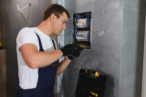 Best Affordable Electrician  in Madison, MN