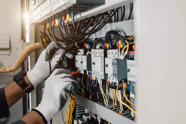 Best Electrical System Inspection  in Madison, MN